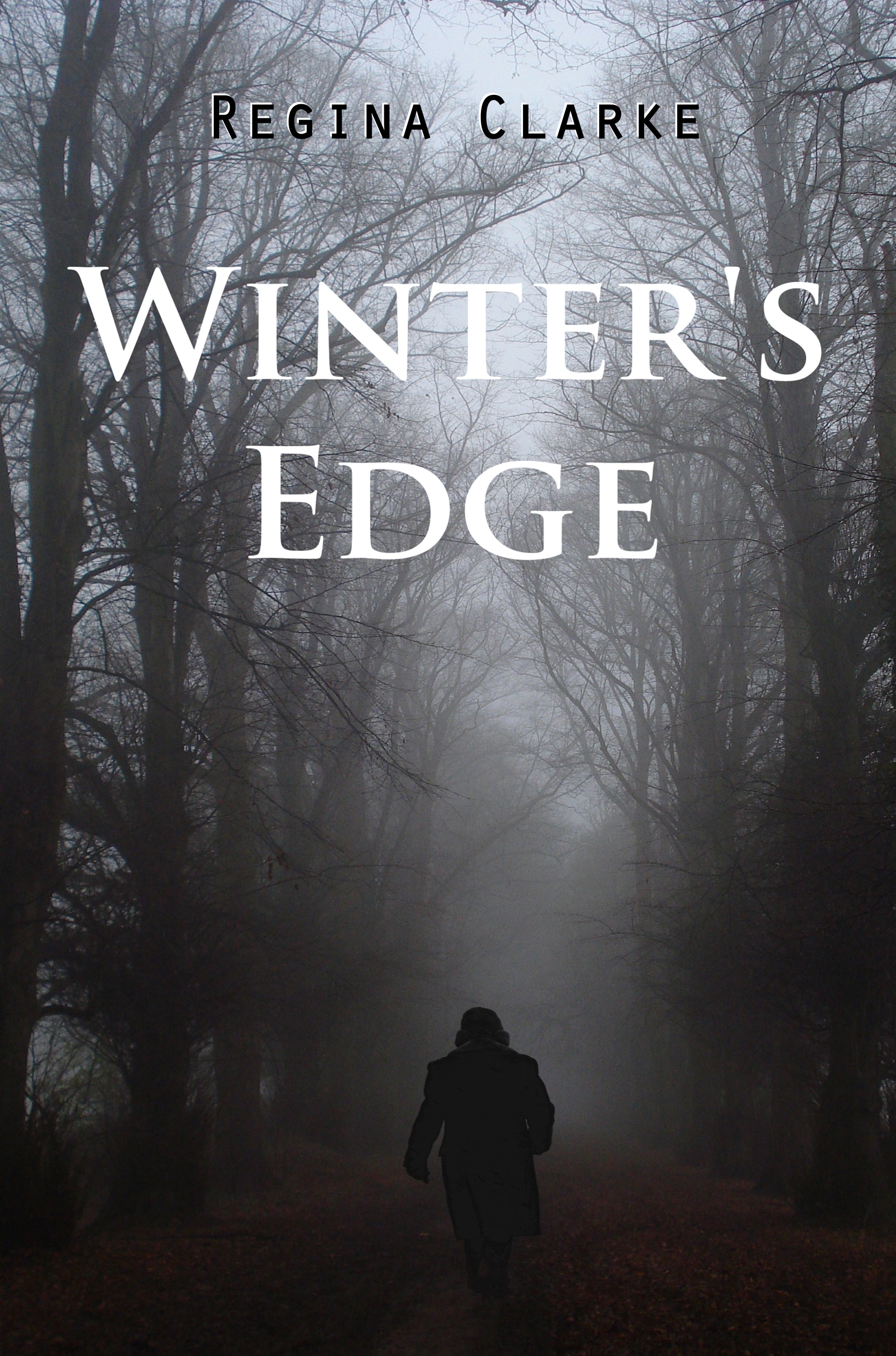 New Winter's Edge Cover - Stories from an Unexpected Universe